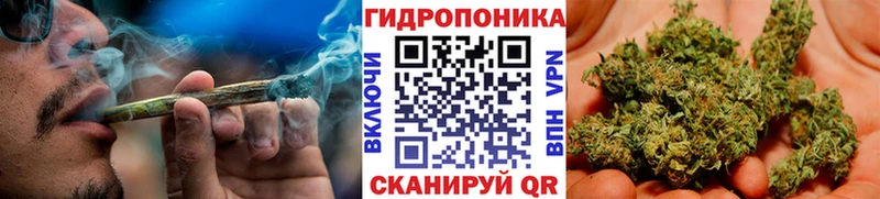 Где купить наркотики Северская Кокаин  Альфа ПВП  Меф мяу мяу  Гашиш  МЕТАМФЕТАМИН  Каннабис  Амфетамин 