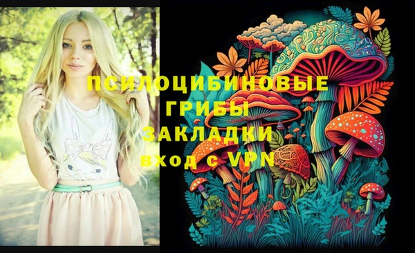 соль ск Алексеевка
