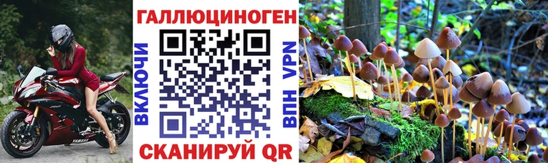Галлюциногенные грибы Psilocybe  Северская 